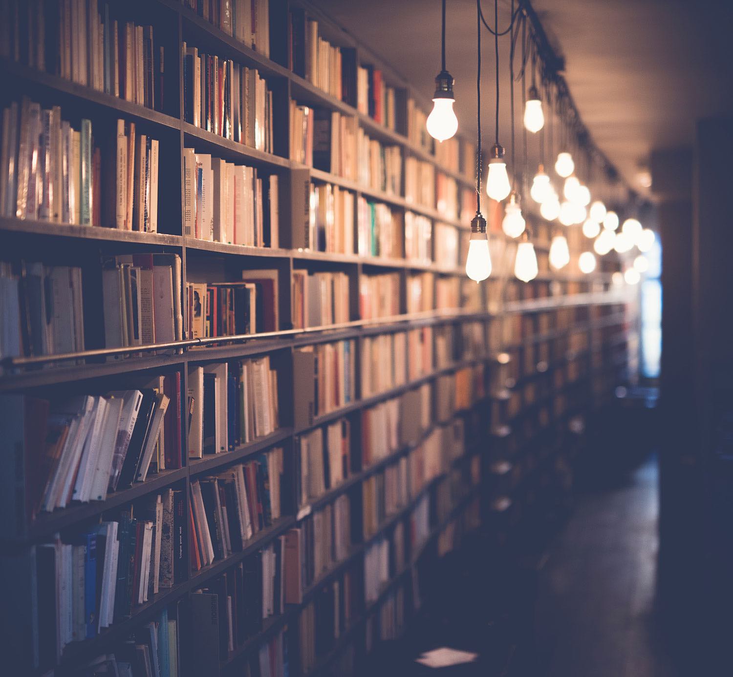 a wall of books in a library with hanging lights